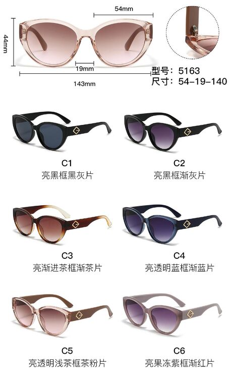 PC plastic sunglasses with metal hinge 5163W
