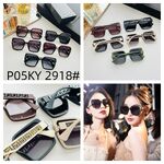Polarized metal + TR90 sunglasses P05KY 2918