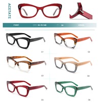 Acetate plastic frames for glasses Big City F3051