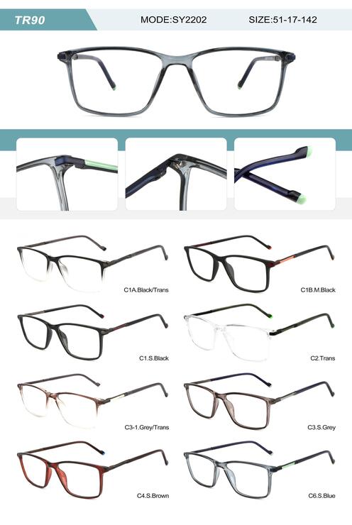 Plastic TR90 frame for men with spring hinges SY2202-DA