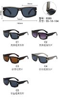 PC plastic sunglasses with metal hinge 6089W