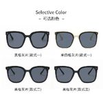 Sunglasses V352-353-361