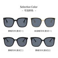 Sunglasses V352-353-361