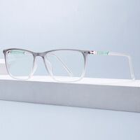 Combined TR90 + metal frame with anti-blue light protection lenses Elit TR1608-EL