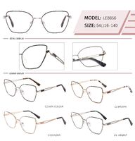 Оправа металлическая с флексом LE8856-DA
