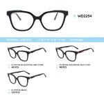 Plastic acetate eyeglasses frame with spring hinges WD2254