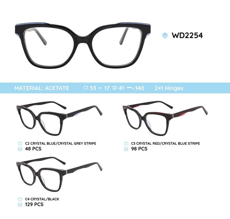 Plastic acetate eyeglasses frame with spring hinges WD2254