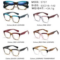 Plastic frame with anti-blue light protection lenses, with spring hinges Elit 5737-EL