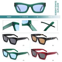 Polarized acetate plastic sunglasses Big City HS2847