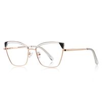 Оправа металлическая с линзами блю-блокерами More FCS3122