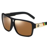 Polarized plastic sunglasses with UV400 protection D008-GT