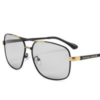 Photochromic glasses with blue light and UV protection 2873-GT