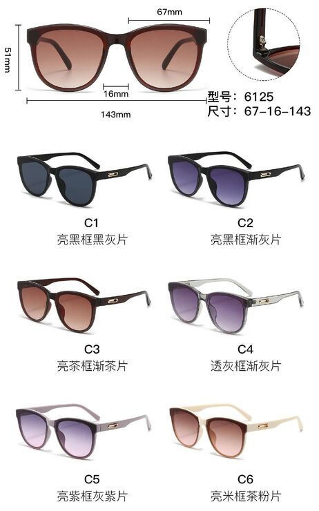 PC plastic sunglasses with metal hinge 6125W