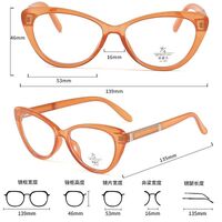 Оправа пластиковая из материала TR90 с линзами Blue Ray Cut MAMO TR8207