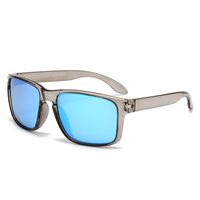 Polarized plastic TR90 sunglasses with UV400 protection 2973-GT