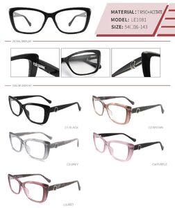 Plastic TR90 and acetate frame with spring hinges LE1081-DA