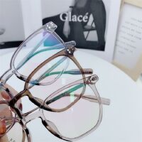 Hybrid frame, titanium alloy + TR90 SANTA M8047