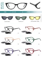 Plastic acetate frame with spring hinges + polarized clip-on Big City F3044S