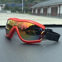 Safety shockproof sports childrens goggles S42炫彩-DX