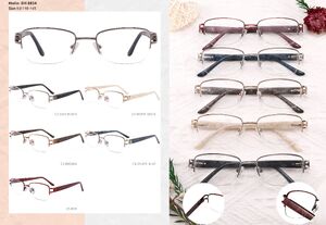 Metal nylor frame with spring hinges DH8834-DA