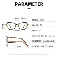 Plastic frame with anti-blue light protection lenses, with spring hinges Elit 5709-EL