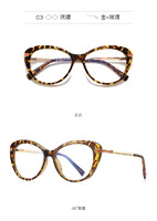 Plastic frames for glasses TR90+CA material (flex hinges) FOCUS FCS2088