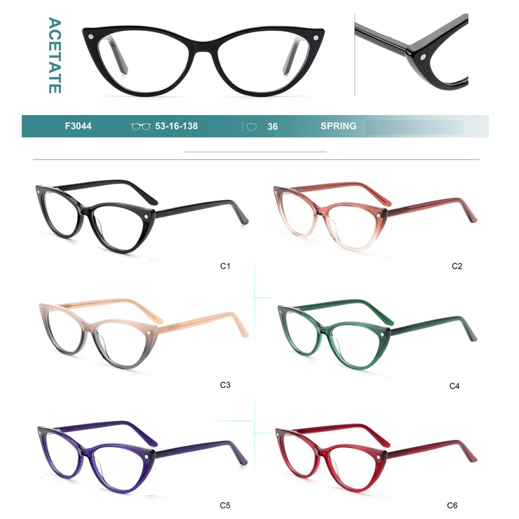 Acetate plastic frames for glasses with spring hinges Big City F3044