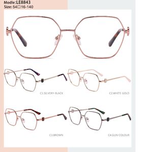 Metal frame with spring hinges LE8843-DA