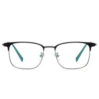 Titanium frame SANTA T9010