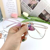 Hybrid frame, metal + plastic, with Blue Block coating SANTA 1568