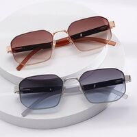 Plastic + metal retro sunglasses Elit ZTT022-EL