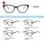 Plastic acetate eyeglasses frame with spring hinges WD2259