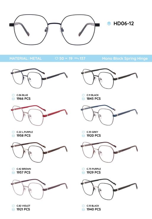 Metal frame with TR-90 temples HD06-12