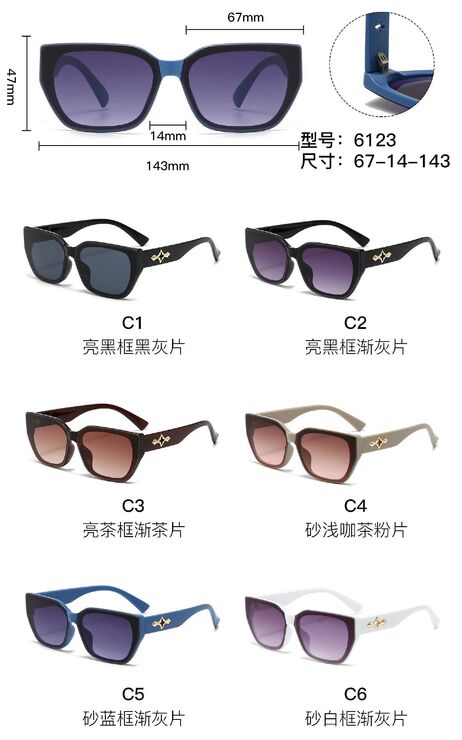 PC plastic sunglasses with metal hinge 6123W
