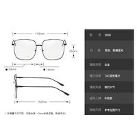 Photochromic glasses with blue light and ultraviolet protection 2699-GT