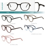 Acetate plastic frames for glasses with spring hinges Big City F3028
