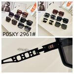 Polarized metal + TR90 sunglasses P05KY 2961