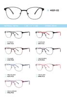 Metal frame with TR-90 temples HS01-02