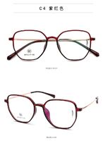 Hybrid frame, titanium alloy + TR90 SANTA M8006