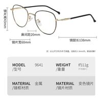 Photochromic glasses with blue light and UV protection 9641-GT