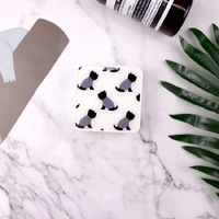 Set for a soft contact lens (Kits for contact lenses) S-6665