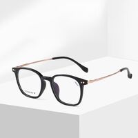 Titanium extralight frames MAMO T18929
