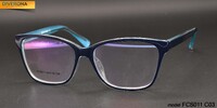 Plastic frames for glasses TR-90 + CA material (flex hinges) FOCUS FCS011