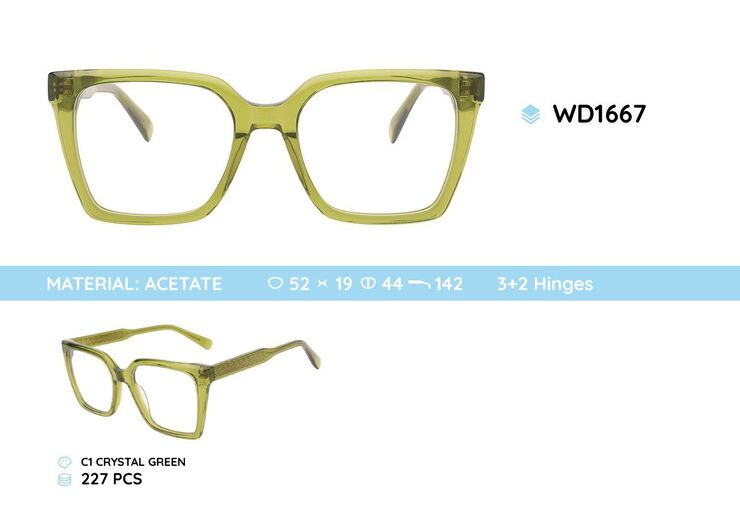 Plastic acetate eyeglasses frame with spring hinges WD1667