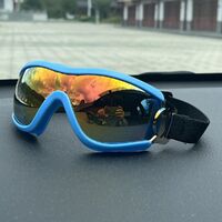 Safety shockproof sports childrens goggles S42炫彩-DX