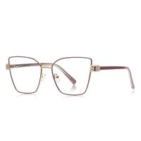 Metal Blue Blocker frames for glasses More FCS3139