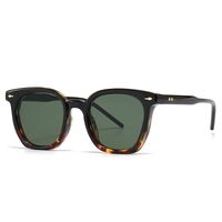 Plastic sunglasses with anti-blue light protection Elit 6016-EL