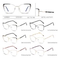 Metal + acetate frame for glasses with spring hinges Landi LD-G19-001