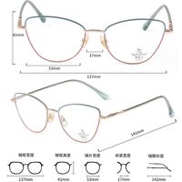 Metal frame with Blue Ray Cut protection lenses MAMO F93022