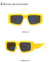 Sunglasses Elit modern model 2237